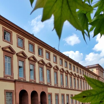 Lehrstuhl f&uuml;r B&uuml;rgerliches Recht, Handels- und Kartellrecht