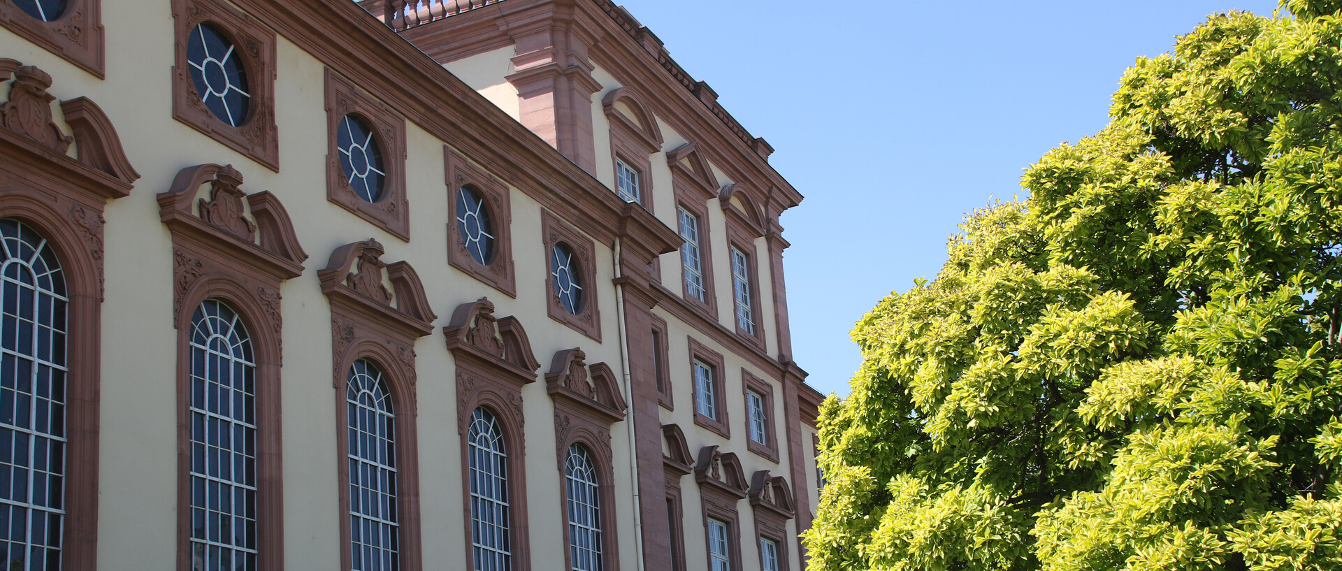 Westflügel des Schlosses mit grünem Baum im Sonnenschein