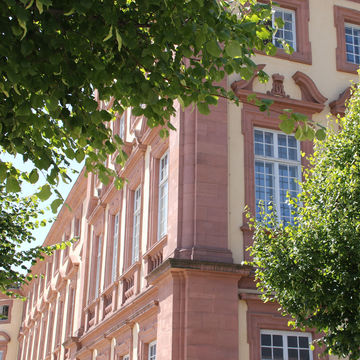 Auslandskoordination Abteilung Rechtswissenschaft