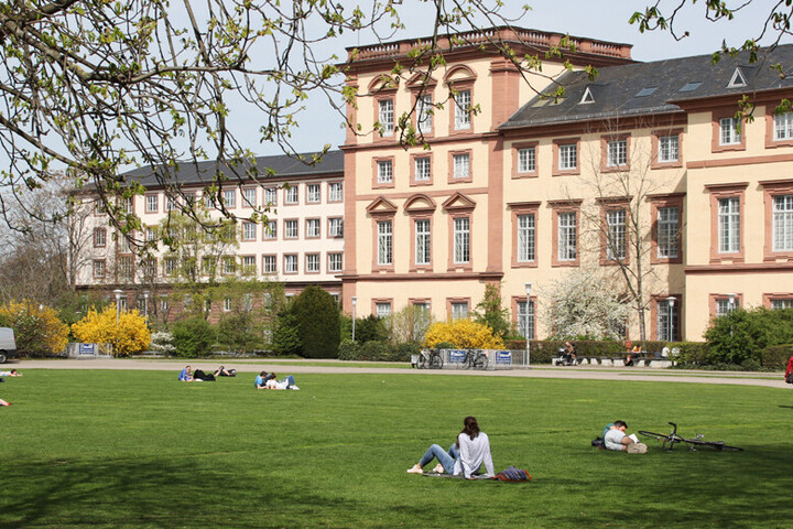 Palace and lawn in sunshine