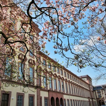 Erste Mannheimer Tagung für Tierschutzrecht des Lehrstuhls für Strafrecht, Strafprozessrecht, Wirtschafts- und Steuerstrafrecht