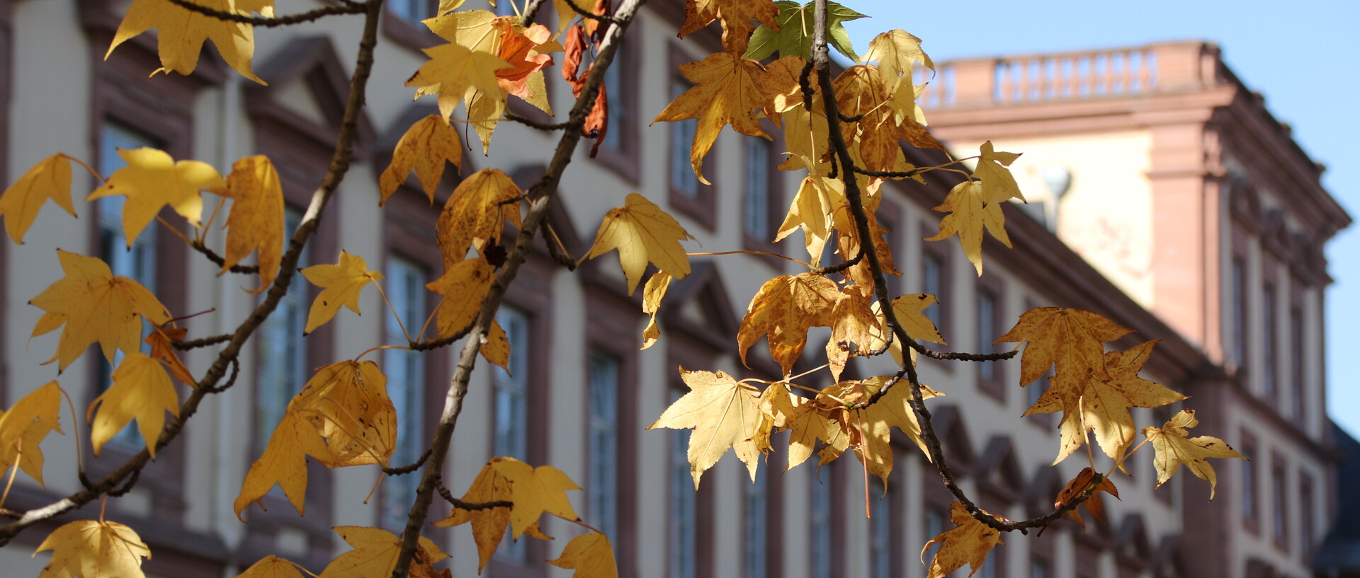 Westflügel des Schlosses im Sonnenschein mit herbstlichen Blättern