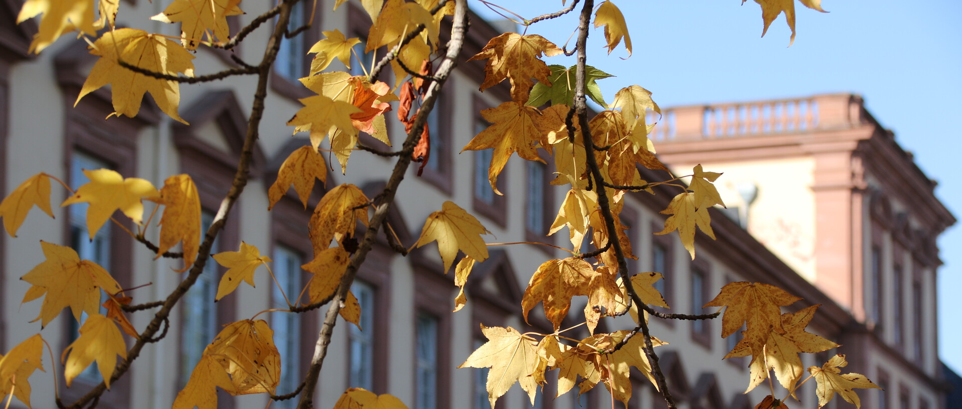 Bunte Herbstblätter vor dem Schloss