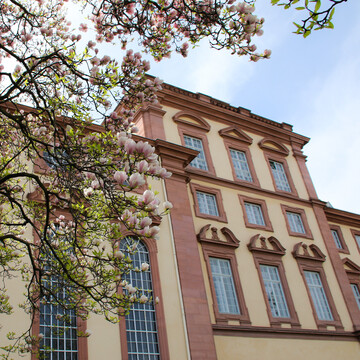 Studiengangsmanagement der Abteilung Rechtswissenschaft